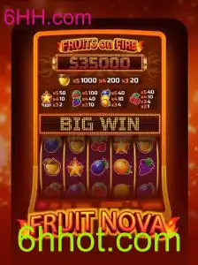 Explorando o Mundo de FruitNova: Tudo sobre o Jogo e suas Regras